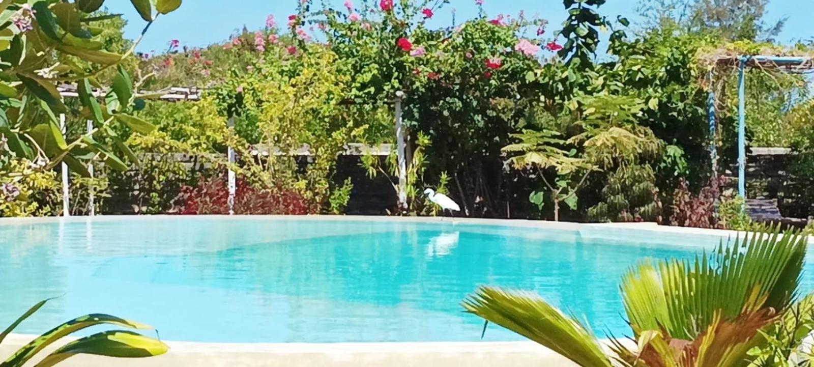 Matemwe Ocean View Villas Buitenkant foto