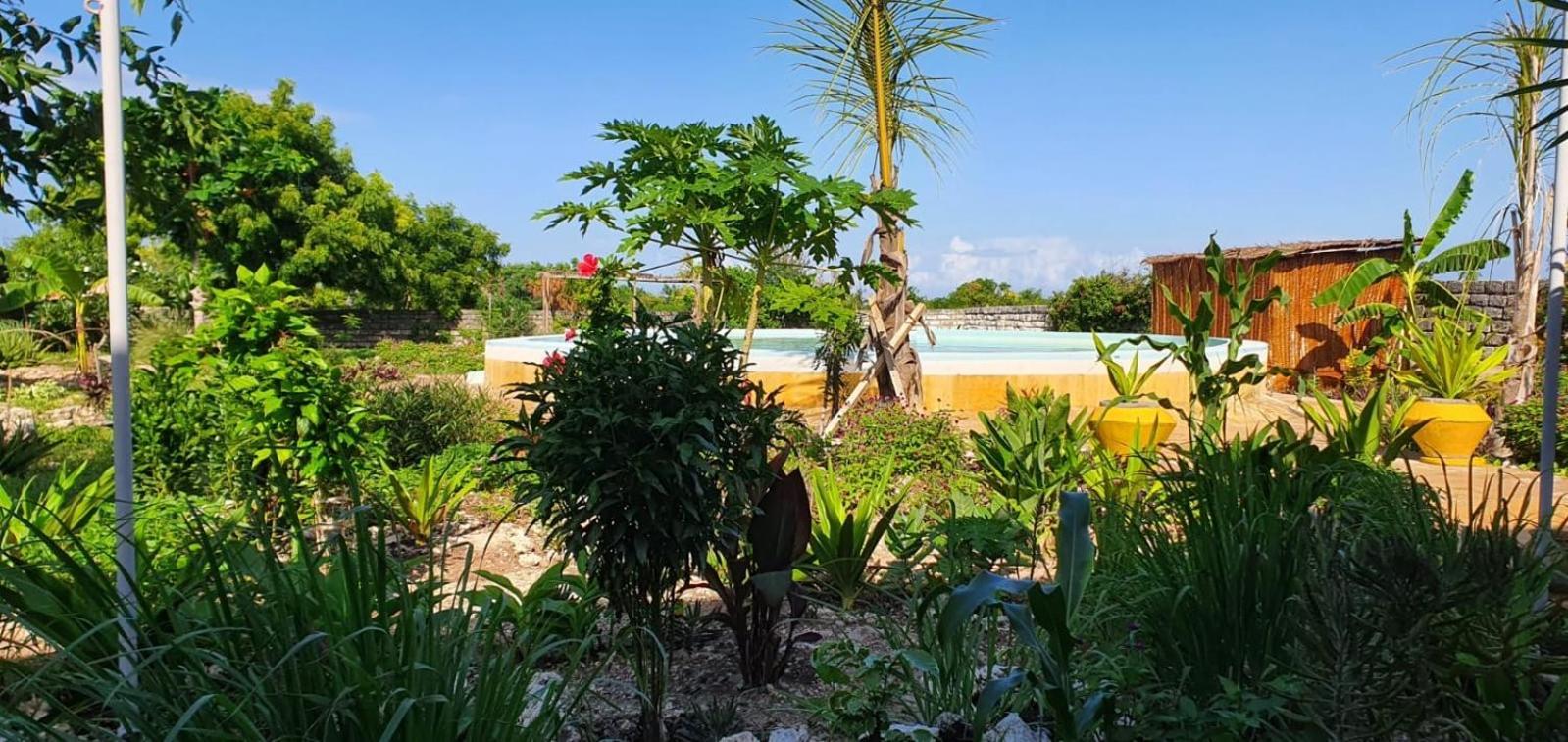 Matemwe Ocean View Villas Buitenkant foto
